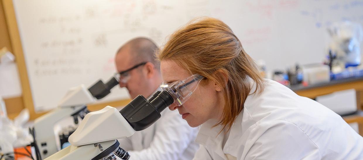 Students looking in microscopes