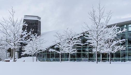 校园下雪